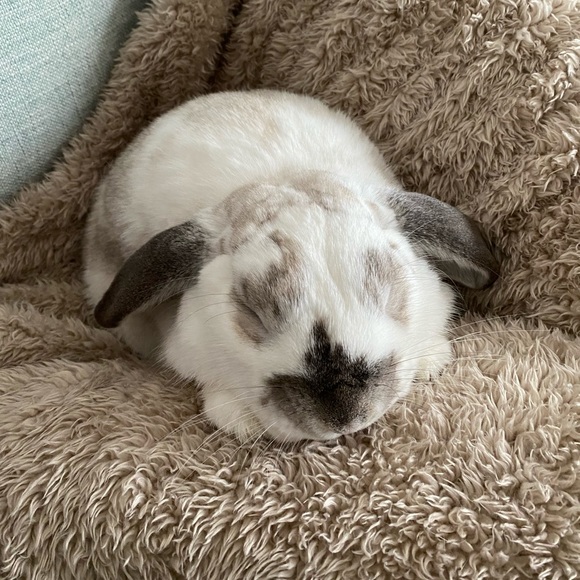 Meet your Posher, Kelly - Picture 1 of 1